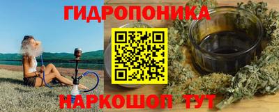 гашик Кулебаки