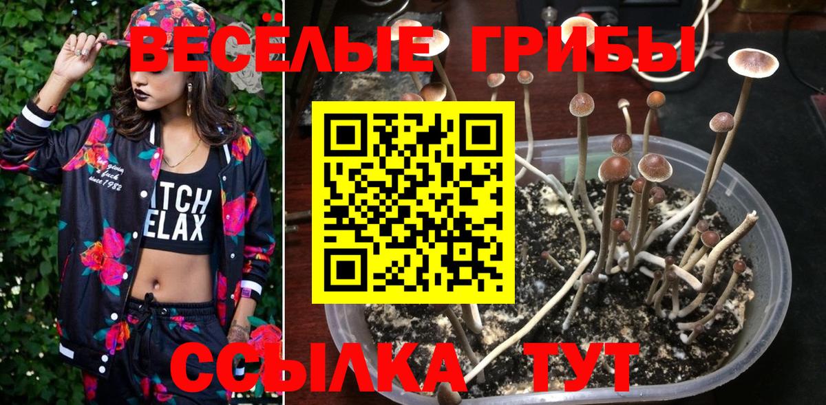 Галлюциногенные грибы мухоморы  Вход с VPN  Корсаков  Галлюциногенные грибы Psilocybe 