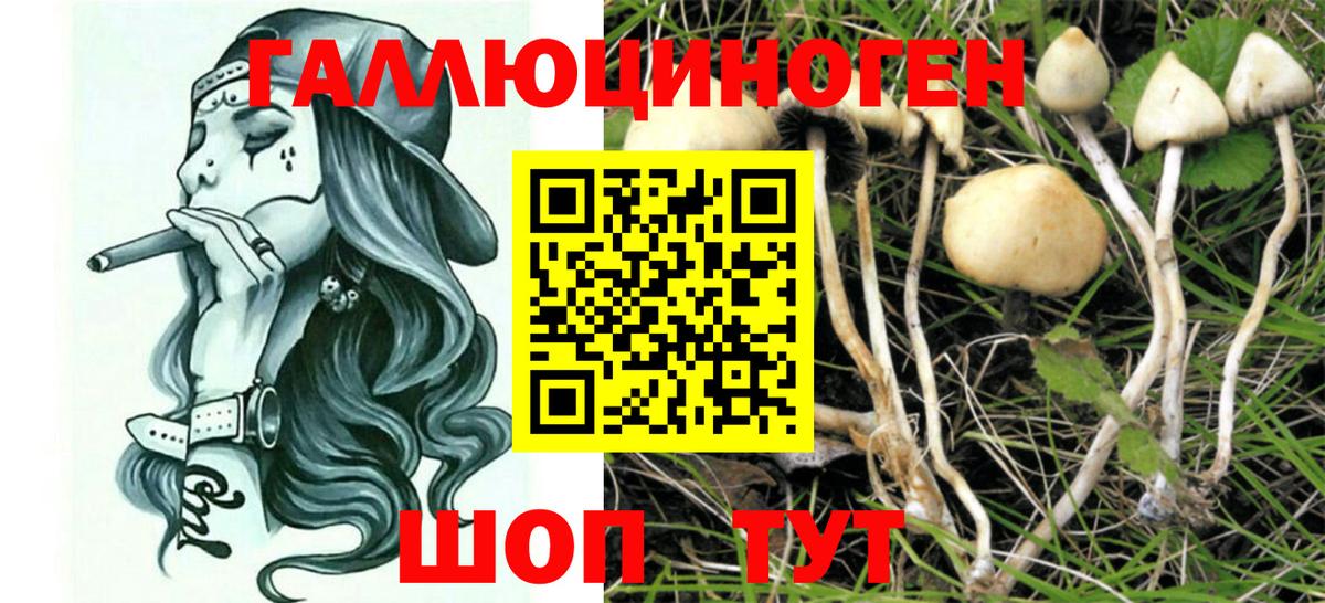 Галлюциногенные грибы мицелий Корсаков